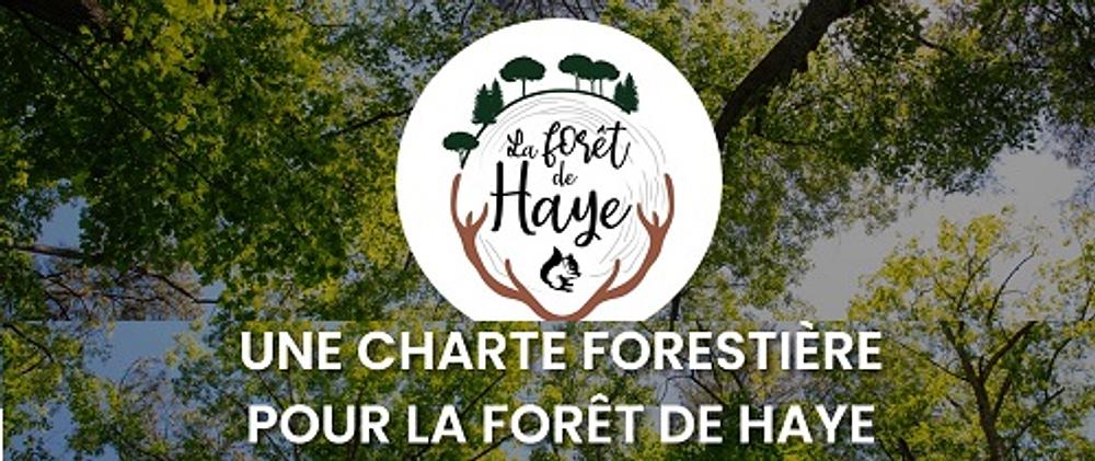 Image média: Charte forestière pour le massif de Haye