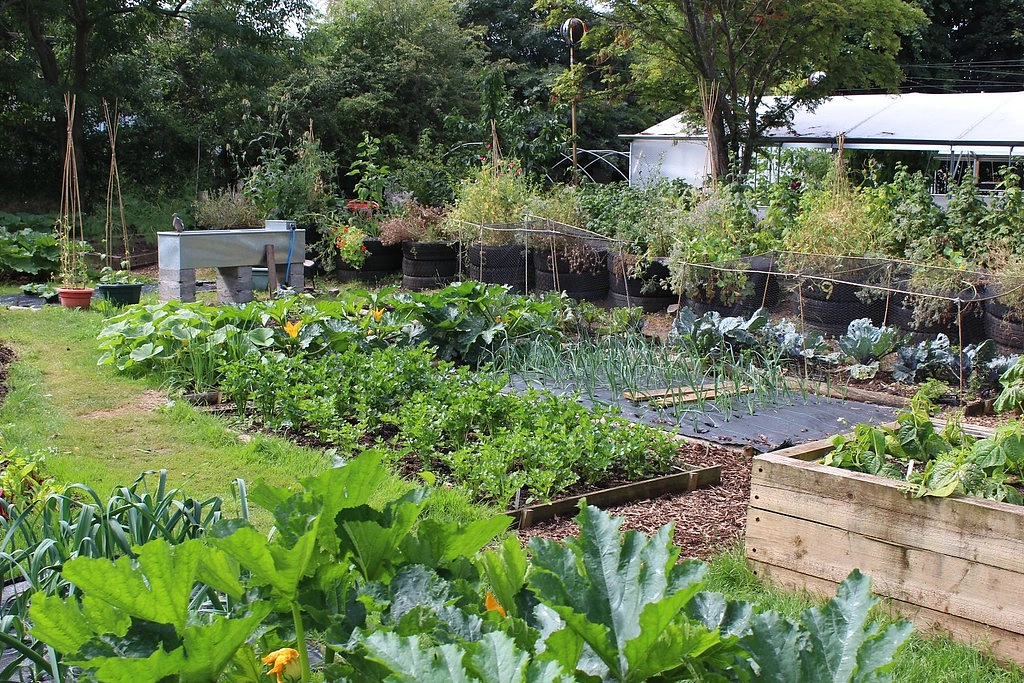 Image média: Développer un espace de permaculture afin de s’adapter au changement climatique