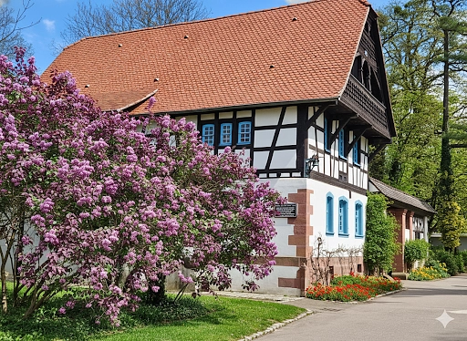Image média: Maison alsacienne du Parc Sainte Marie