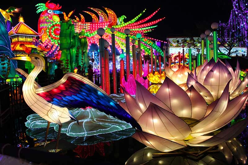 Image média: Animations lumineuses