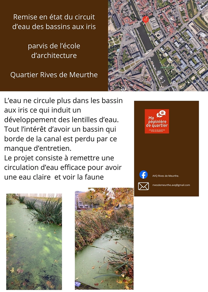 Image média: Remise en état du circuit d’eau des bassins aux iris  parvis de l’école d’architecture  Quartier Rives de Meurthe