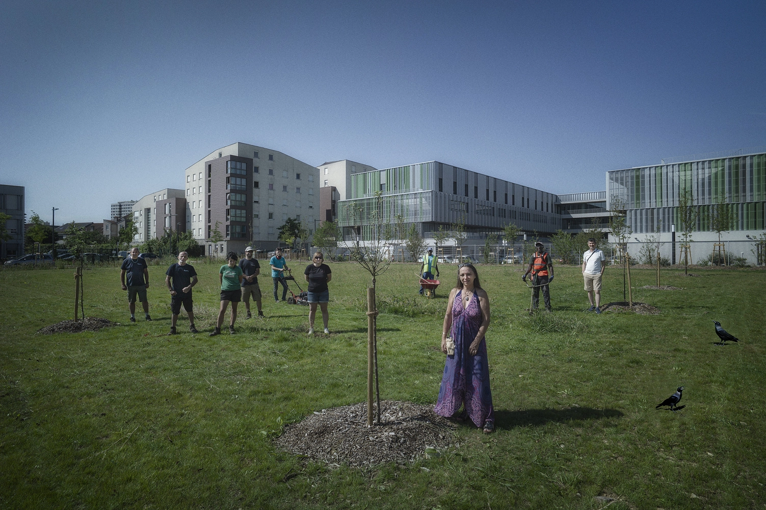 Image média: Verger participatif ARTEM 🌳