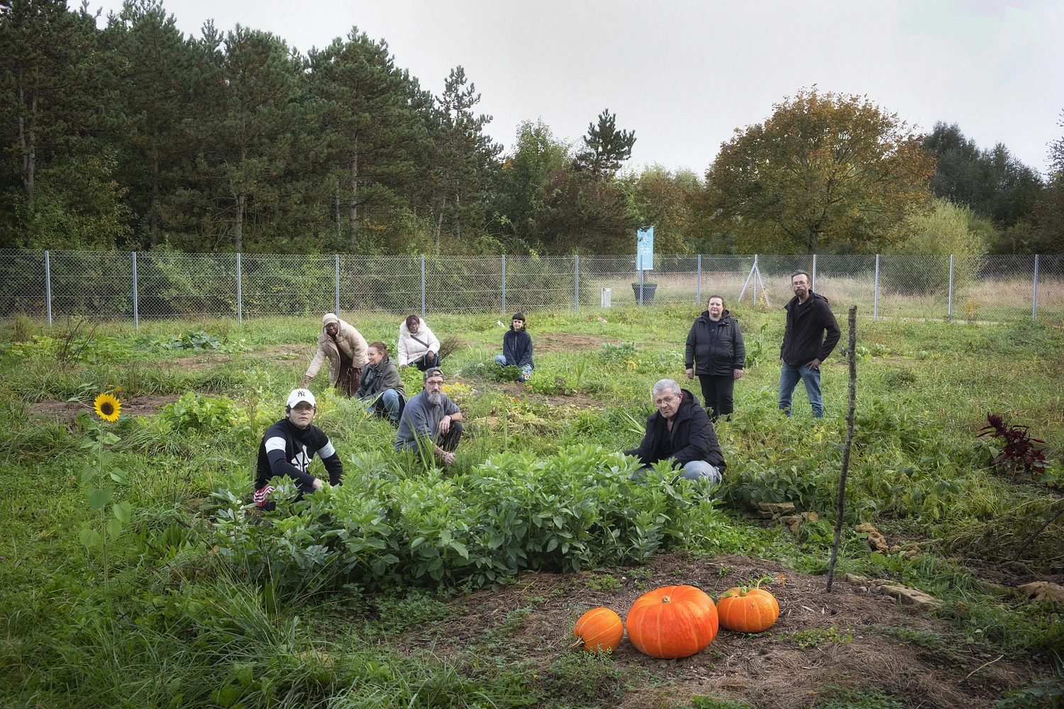 Image média: Jardin participatif Carrières Solvay 🧑‍🌾