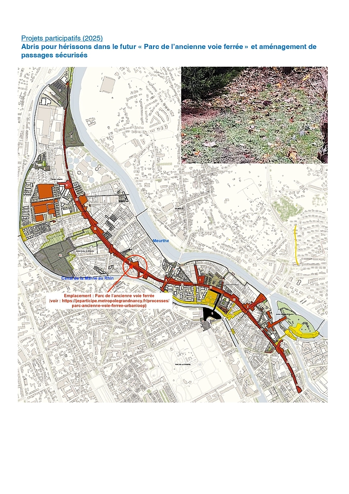 Image média: Abris pour hérissons au futur "Parc de l'Ancienne voie ferrée"