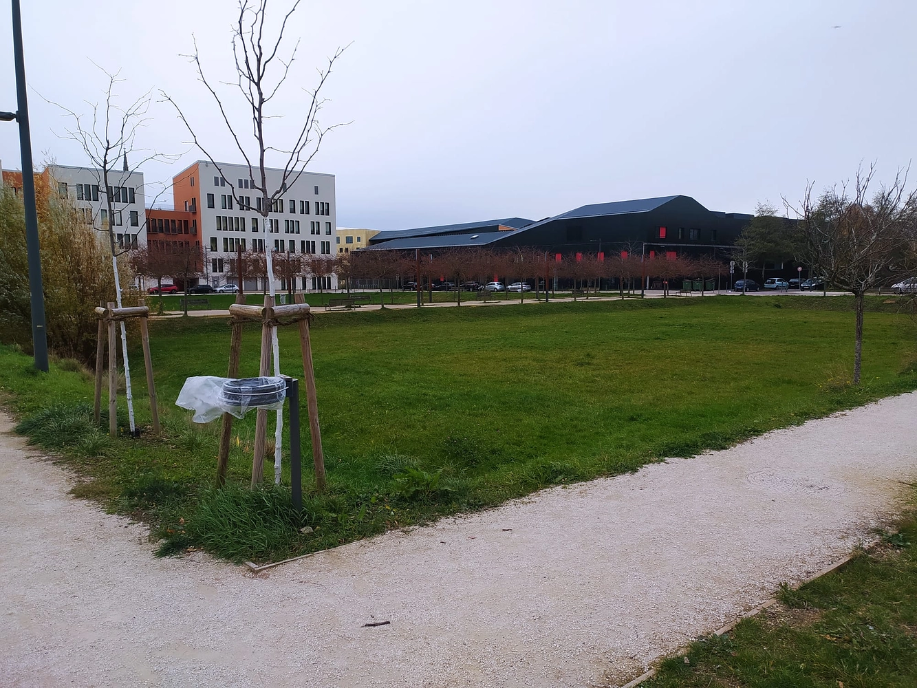 Image média: Parc sécurisé pour les chiens à Haussonville